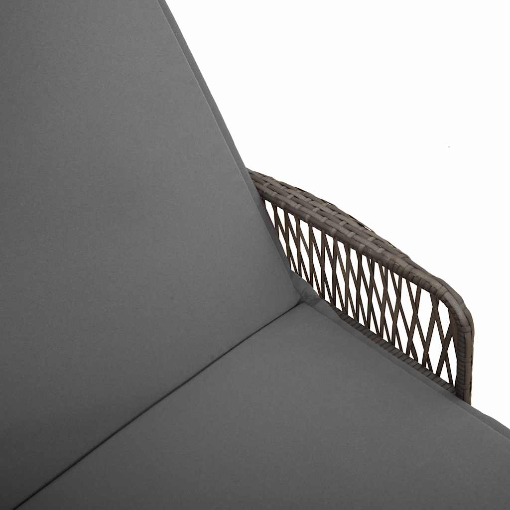 Ligstoel Met Kussen 3 Pcs Poly Rattan